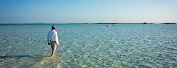 South Andros Vacation Packages For 2024 | Aarp Travel Center