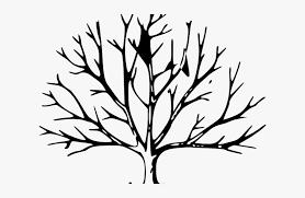 With the help of the project getdrawings.com, you will get unlimited access to the world of drawings and coloring pages. Dogwood Tree Drawing Black Outline Of A Tree Hd Png Download Kindpng