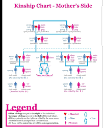Pin By Nancy Yang On Hmong Chart Kinship Grandmother And Grandfather