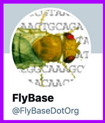On 14 reading lists on 8 wish lists on 10 completed lists on 3 unfinished lists on 9 custom lists. Flybase Gene Report Dmel Bab2