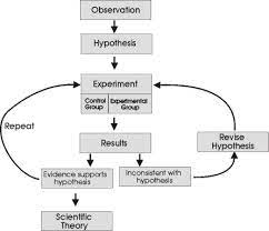 Aug 04, 2017 · the steps of the scientific method go something like this: The Scientific Process