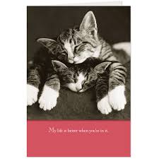 Unintentionally hilarious vintage children's valentine's day cards! Sleeping Kittens Valentine S Day Card Greeting Cards Hallmark