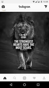 Then cometh the lion, breatheth upon them, and bringeth them to life. Lion In Winter Quotes Lost Your Lifes Work Have Lioness Quotes Dogtrainingobedienceschool Com