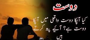 Share and dedicate this poetry to your best friends. Funny Poetry In Urdu For Friends