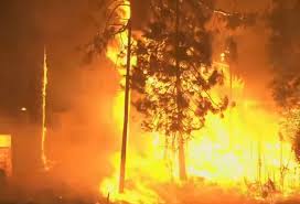 Learning about wildfire risks and planning in advance can help protect against the destructive impacts of wildfires. V Kxpjvzfllk9m