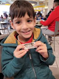 Tesla Vehicle Ownership and Financial Investments