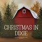 1st Annual Christmas In Dixie Vendor Market event image