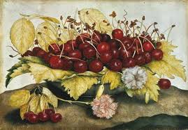 Les Cerises En Reve Le Sens Cerise Peintre Fruits