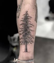 Any tree can become a beautiful tree tattoo. 50 Gorgeous And Meaningful Tree Tattoos Inspired By Nature S Path Kickass Things