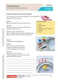 Flitzefische Basteln Ein Experiment Zur Oberflachenspannung Arbeitsblatt Mit Losungen Cornelsen