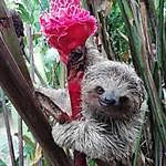 Relaxing on a beach, trekking through the rainforest, or diving into the. Costa Rica Guide De Voyage Costa Rica Routard Com