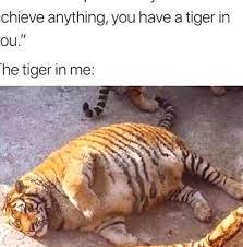 Pin By Joelle Styles On Quality Pins Really Funny Memes Crazy Funny Memes Funny Memes