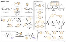 In this video i describe what effect modification is and describe 2 methods to differentiate an effect modifier from a confounder. Peptide Modification And Cyclization Via Transition Metal Catalysis Sciencedirect
