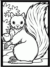 First grade nature worksheets and printables. Free Fall Coloring Pages Printable Coloring Home