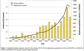 Roundup Bread The Real Reason Americans Are Intolerant To Wheat