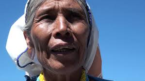 Luis Guerra : The Return of the Sacred Deer