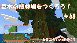 マイクラ】巨木（大木）植林場をつくろう！＆ミニカカオ畑づくり！ ＃68 - すろーのマイクラ日記