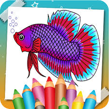 They are here to share and. Updated Download Betta Fish Coloring Book Android App 2021