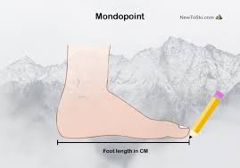 64 unexpected ski boot last size chart