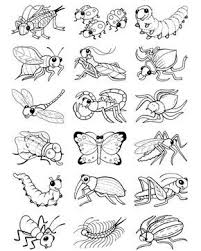 Welcome To Dover Publications Color Your Own Bug Stickers Esbocos De Animais Projeto Animais Colorir