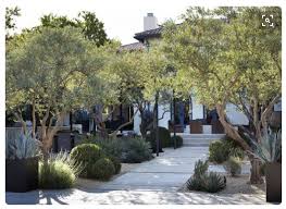 Landscape St Louis Http Www Landscapestlouis Com Paisagismo Jardim Mediterraneo Jardim