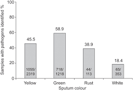 Sputum Colour And Bacteria In Chronic Bronchitis