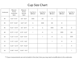 bra and cup size chart 2019