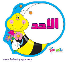 ايام الاسبوع بالانجليزي للاطفال وامثلة عليها. Ø¨Ø·Ø§Ù‚Ø§Øª Ø£ÙŠØ§Ù… Ø§Ù„Ø£Ø³Ø¨ÙˆØ¹ Ø¬Ø§Ù‡Ø²Ø© Ù„Ù„Ø·Ø¨Ø§Ø¹Ø© Ø¨Ø·Ø§Ù‚Ø§Øª Ø§ÙŠØ§Ù… Ø§Ù„Ø§Ø³Ø¨ÙˆØ¹ Ø¨Ø§Ù„Ø¹Ø±Ø¨ÙŠ Ø¨Ø§Ù„Ø¹Ø±Ø¨ÙŠ Ù†ØªØ¹Ù„Ù…