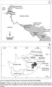 Image result for Styppeiochloa gynoglossa