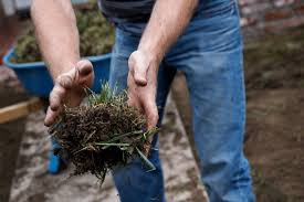 Before starting your lawn care business, you must understand the pros and cons of running one. 8 Effective Ways To Advertise Your Lawn Care Or Landscaping Business