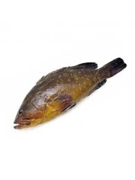 Al fine di preparare una cernia, il pesce dovrà essere abbastanza piccolo da stare nel forno o sulla griglia. Cernia Pesce Di Mare Costo Prezzo E Ricette Con La Cernia