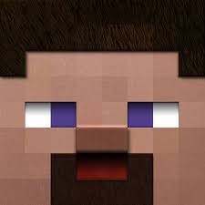 Buy Jinxminecraft Steve Head Online At Desertcartoman