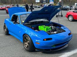 Image result for Cobalt Blue 1994 Reliant