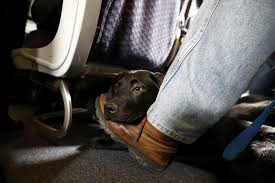 Which airlines charge for bags? American Airlines Is Grounding Emotional Support Animals