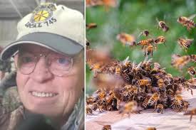 Man dies in bee attack despite frantic escape attempt that had him drive  through neighbor's yard