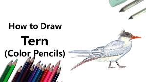 Like every song of yours is good, i can just listen to them all day while i draw!! How To Draw Animals 50 Free Tutorial Videos To Help You Learn Step By Step