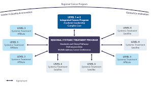 Systemic Treatment Plan 2019 2023 Cancer Care Ontario