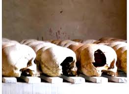 For example, during the first days of. Not Just Victims And Perpetrators Understanding Rwanda S Genocide Twenty Years On Political Violence At A Glance