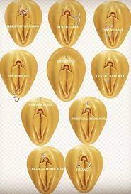If A Woman Has Her Clitoral Hood Pierced Does This Enhance Or Diminish Her Experience Of Sexual Stimulation Quora