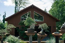 We also created a handy guide featuring quick tips for easy reference. Bonsai Mirai The Art Of Creating The Perfect Bonsai Tree