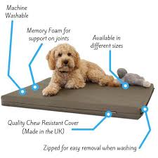 Choose from contactless same day delivery, drive up and more. Memory Foam Dog Bed From 42 63
