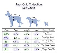 Sizing Charts For All Size Dogs Chic Puppy Matching Owner