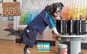 Shop at thompson ace hardware at 9742 old saint augustine rd, jacksonville, fl, 32257 for all your grill, hardware, home improvement, lawn and garden, and tool needs. Thompson S Building Centre Home Timber Hardware Home Facebook