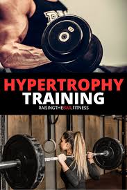Hypertrophy Training Program Hypertrophy Training Workout Training Programs Gym Program