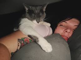 Cats With Threatening Auras