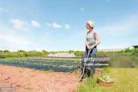 485 Devon Gardner Stock Photos, High-Res Pictures, and Images