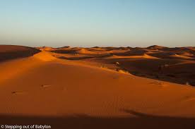 Find reviews, ratings & map of nearby places. Merzouga Where Is The Sahara Desert