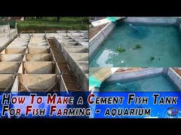 How To Make A Cement Fish Tank For Fish Farming Aquarium Fish Tank Setup Diy Youtube Fish Farming Fish Tank Aquaponics System