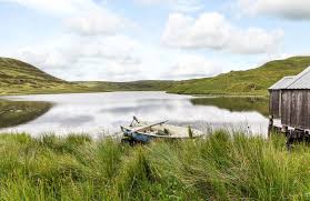 Wales, constituent unit of the united kingdom that forms a westward extension of the island of great britain. Own 1 000 Acres Of Welsh Wilderness For Just 500k