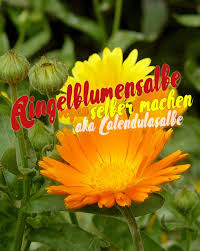 Rezept Fur Calendulasalbe Aka Ringelblumensalbe Schwatz Katz Salbe Ringelblumensalbe Selber Machen Naturkosmetik